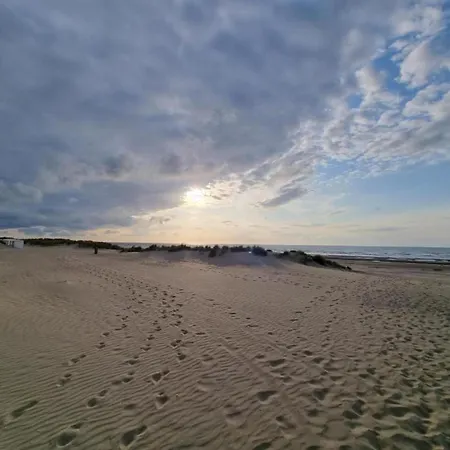 Near The Daire Oostduinkerke