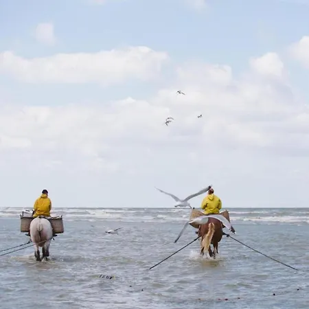 Near The Oostduinkerke