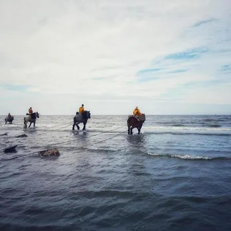 Apartmán Near The *