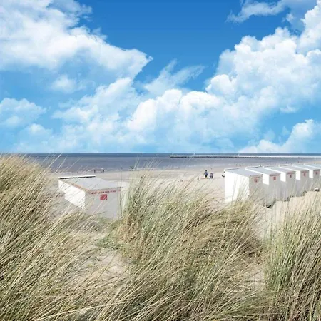 Daire Near The Oostduinkerke