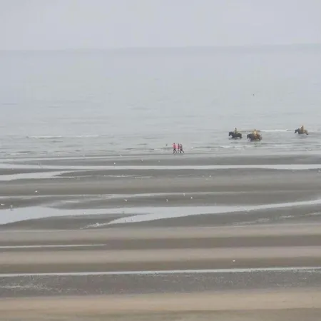 Daire Near The Oostduinkerke